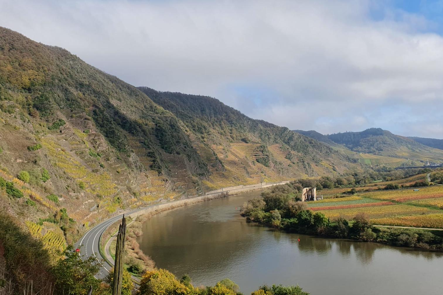 Calmont Klettersteig mit Weinbergen, Mosel und Klosterruine Stuben