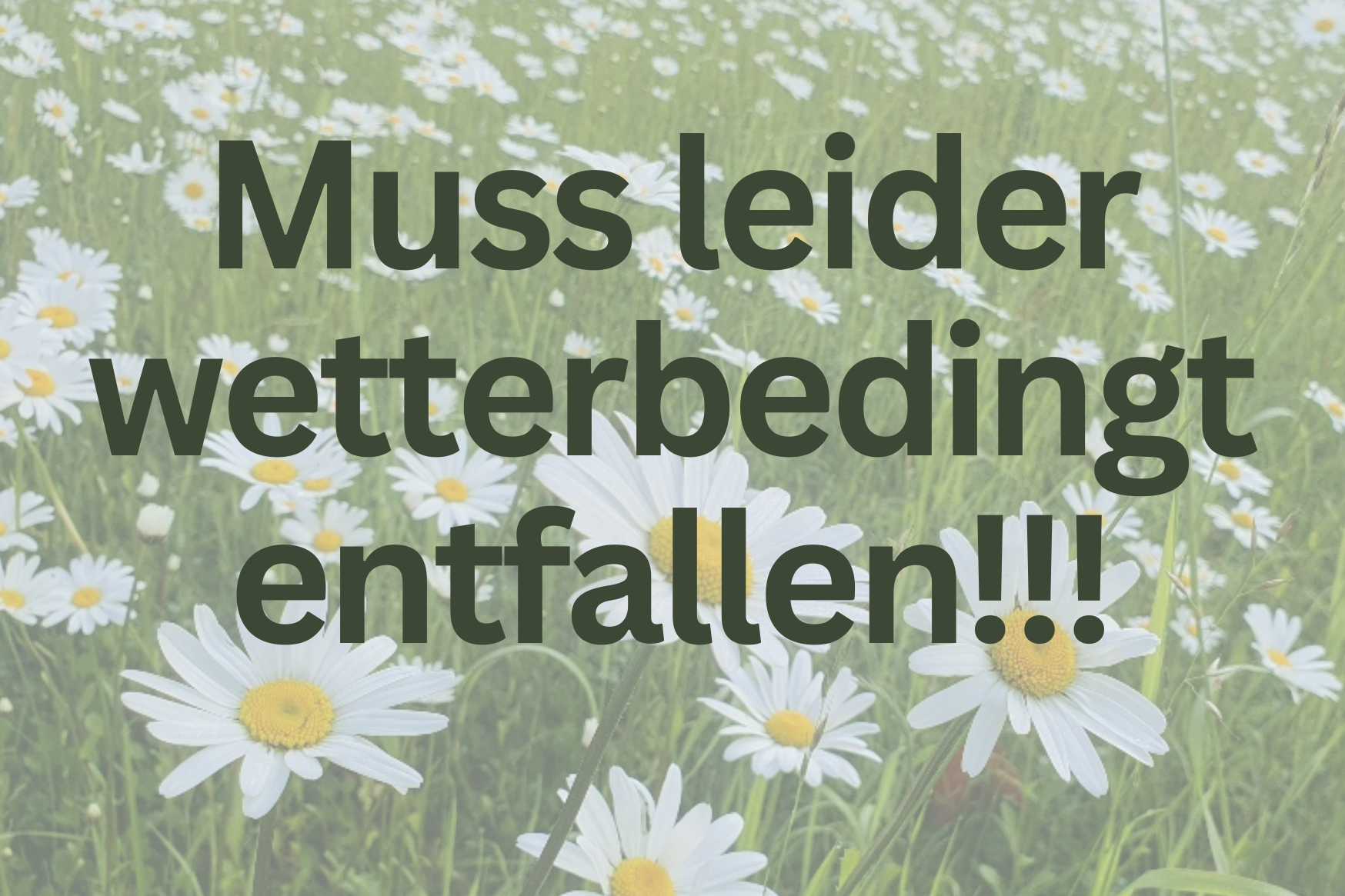 Muss leider wetterbedingt entfallen!!!