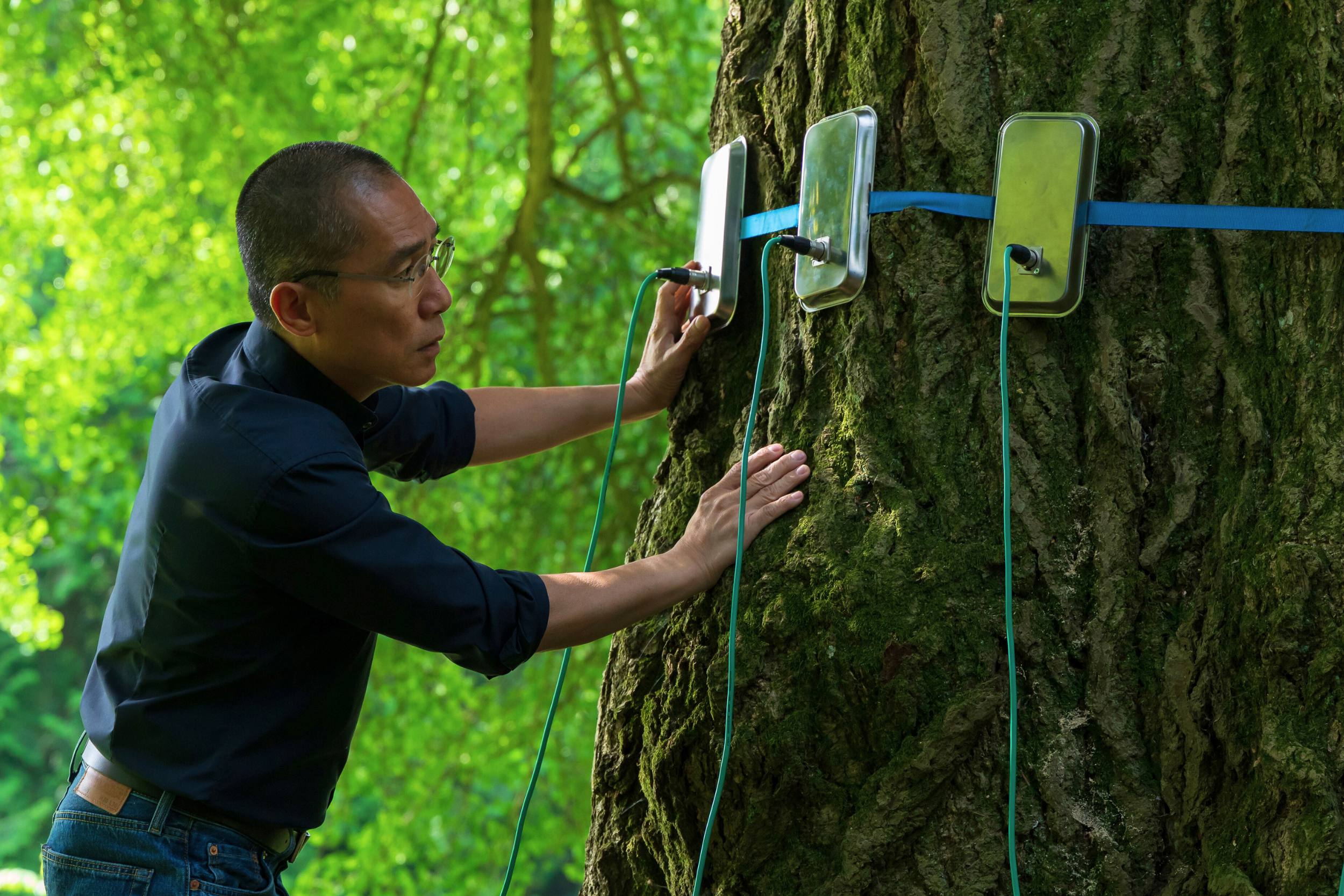 Neurowissenschaftler Tony forscht am Gingko